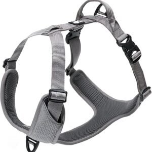 Reflective Dog Harness Dog Vest Accepted Leash