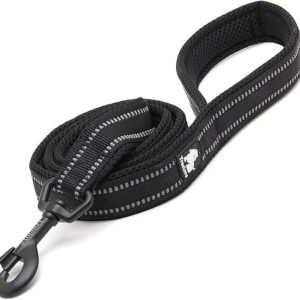 Dog Harness Leash Pet Accessory